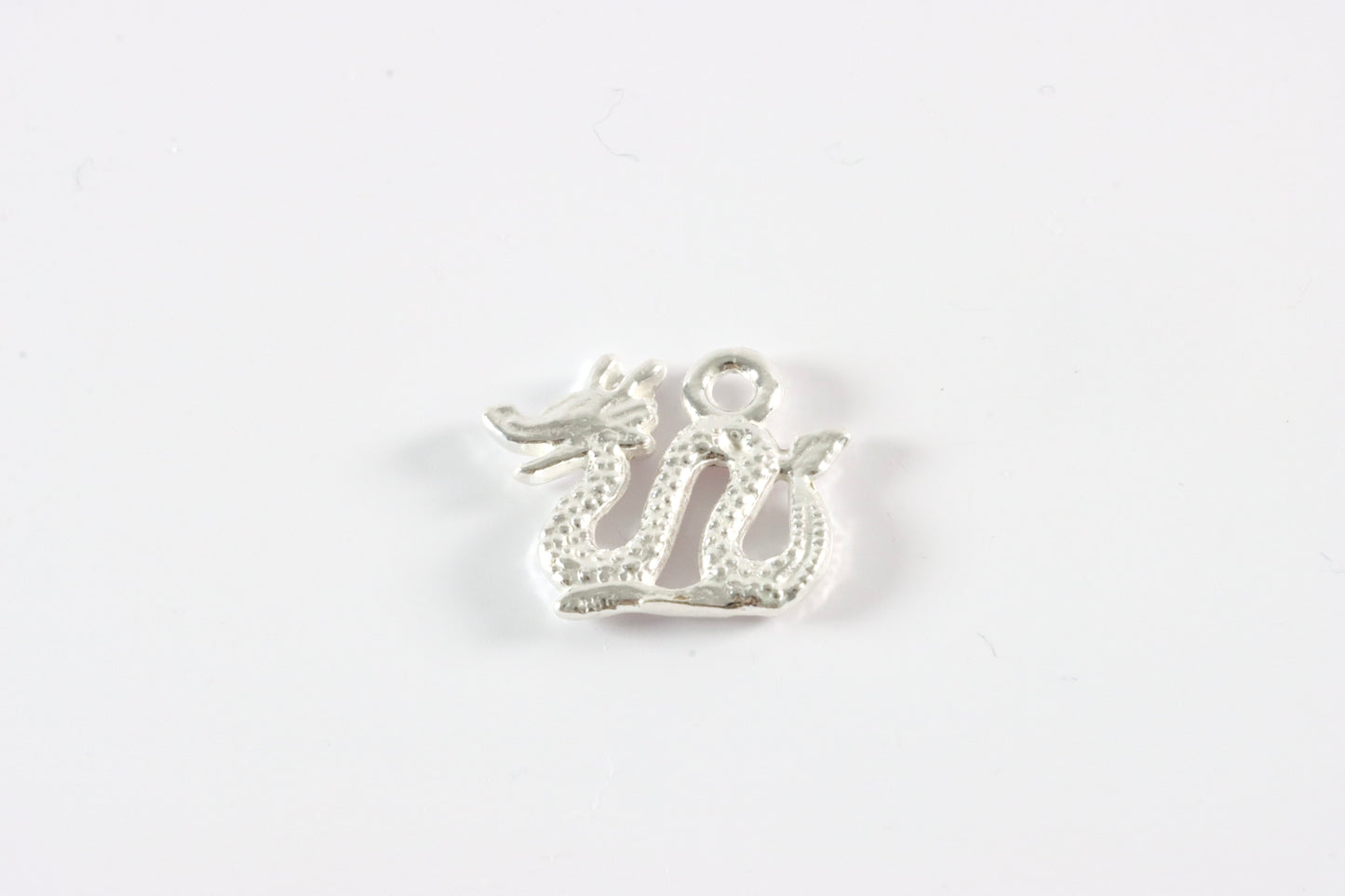 Silver Dragon Charm Necklace