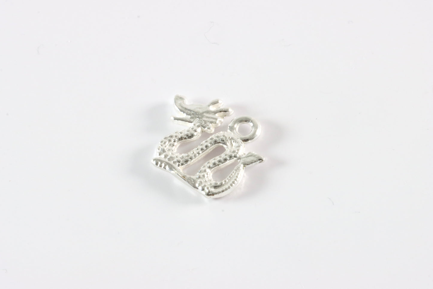 Silver Dragon Charm Necklace