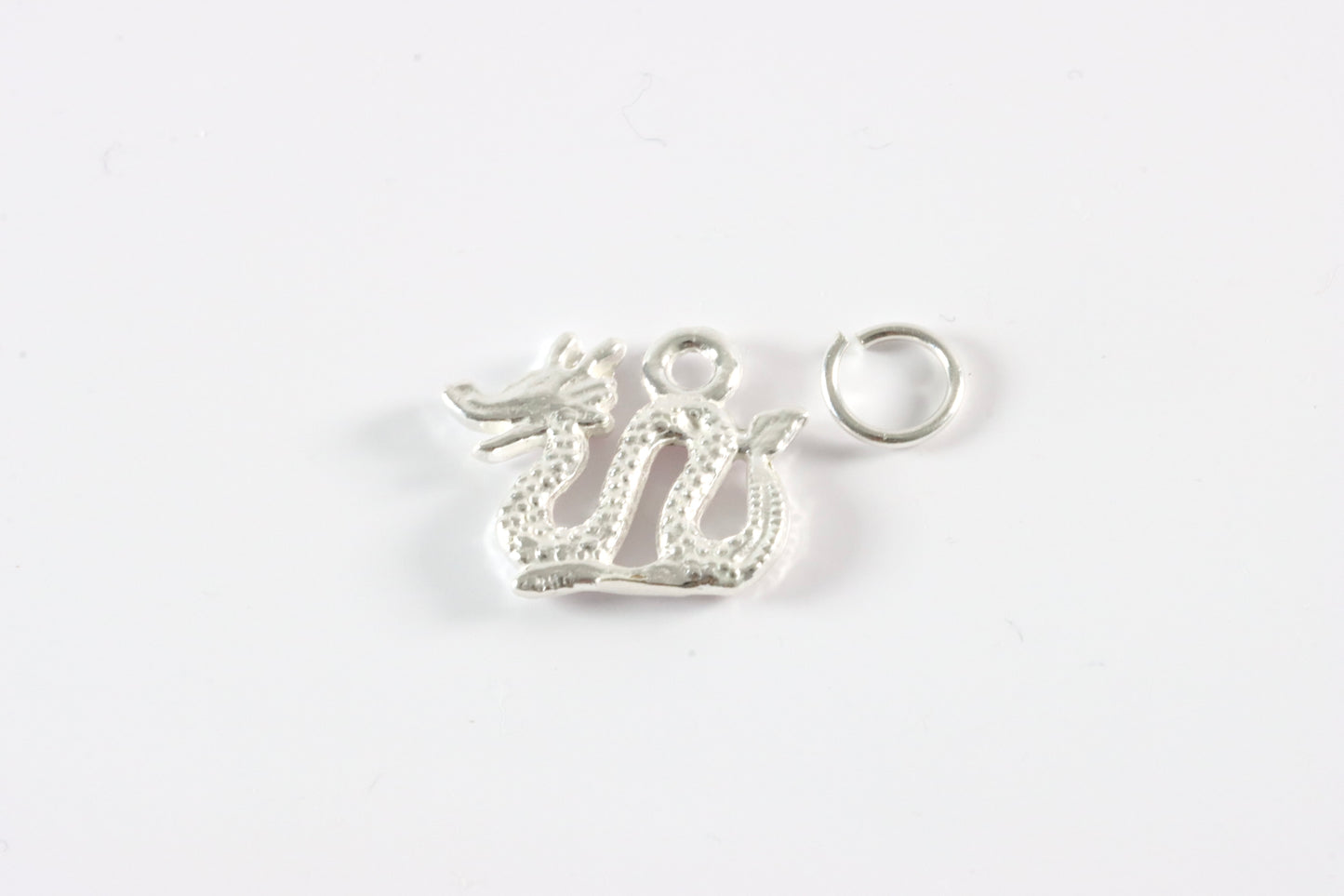 Silver Dragon Charm Necklace