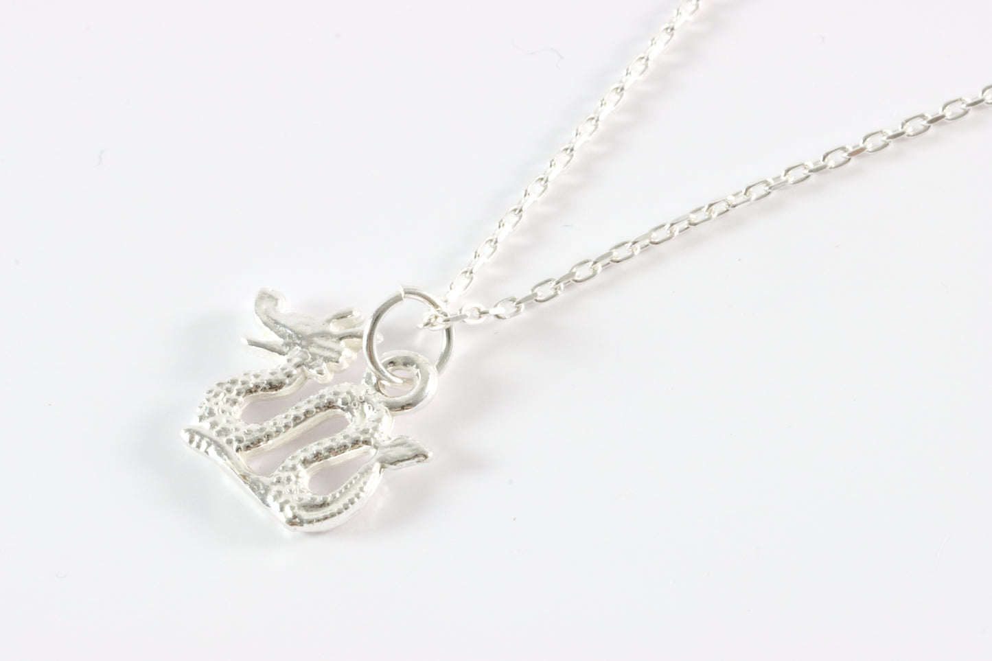 Silver Dragon Charm Necklace